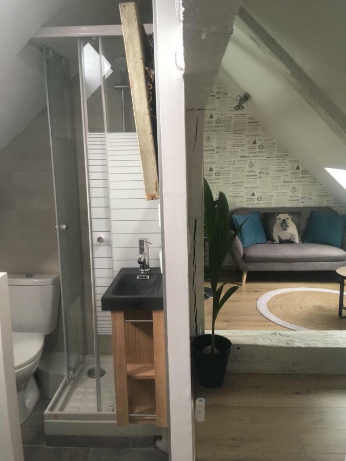 Appartements Atypiques Centre Historique Dijon Kültér fotó